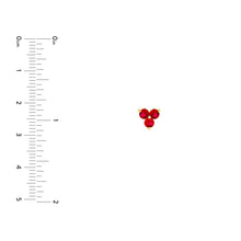 Load image into Gallery viewer, Ruby Trio Stud Earrings (3mm)