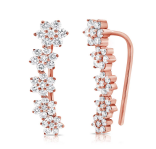 Load image into Gallery viewer, Flower Ear Climbers