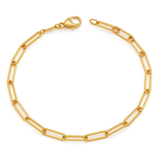 Paperclip Bracelet