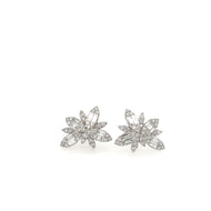 Cluster Glam Earrings